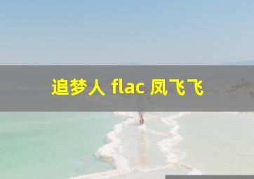 追梦人 flac 凤飞飞